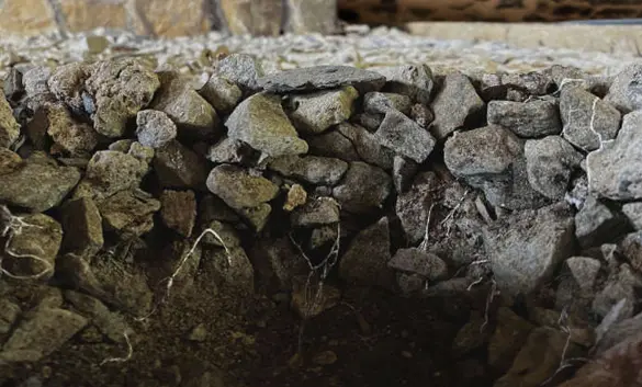 traitement mérule dans le sol d'une cave