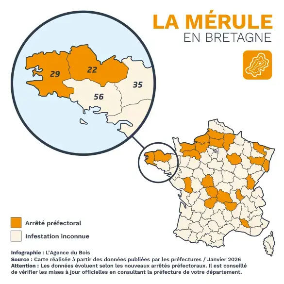 Cartographie par département de l'infestation de la mérule en Bretagne.