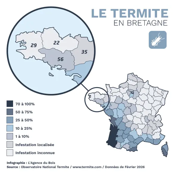 Cartographie par département de l'infestation des termites en Bretagne.