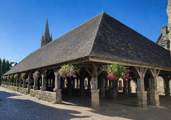 Au premier plan, les halles de Questembert, classées monument historique. Elles font partie des dernières halles en Bretagne à conserver une charpente en bois. En second plan, il s'agit du clocher de l'église Saint Pierre. illustration du traitement du bois à Questembert