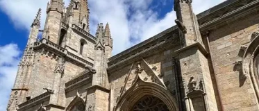 traitement bois des édifices classés et bâtiments historiques : une basilique